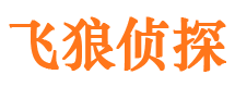 平房侦探